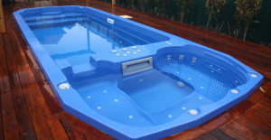 Duel Zone - Plunge Pool and Spa 6